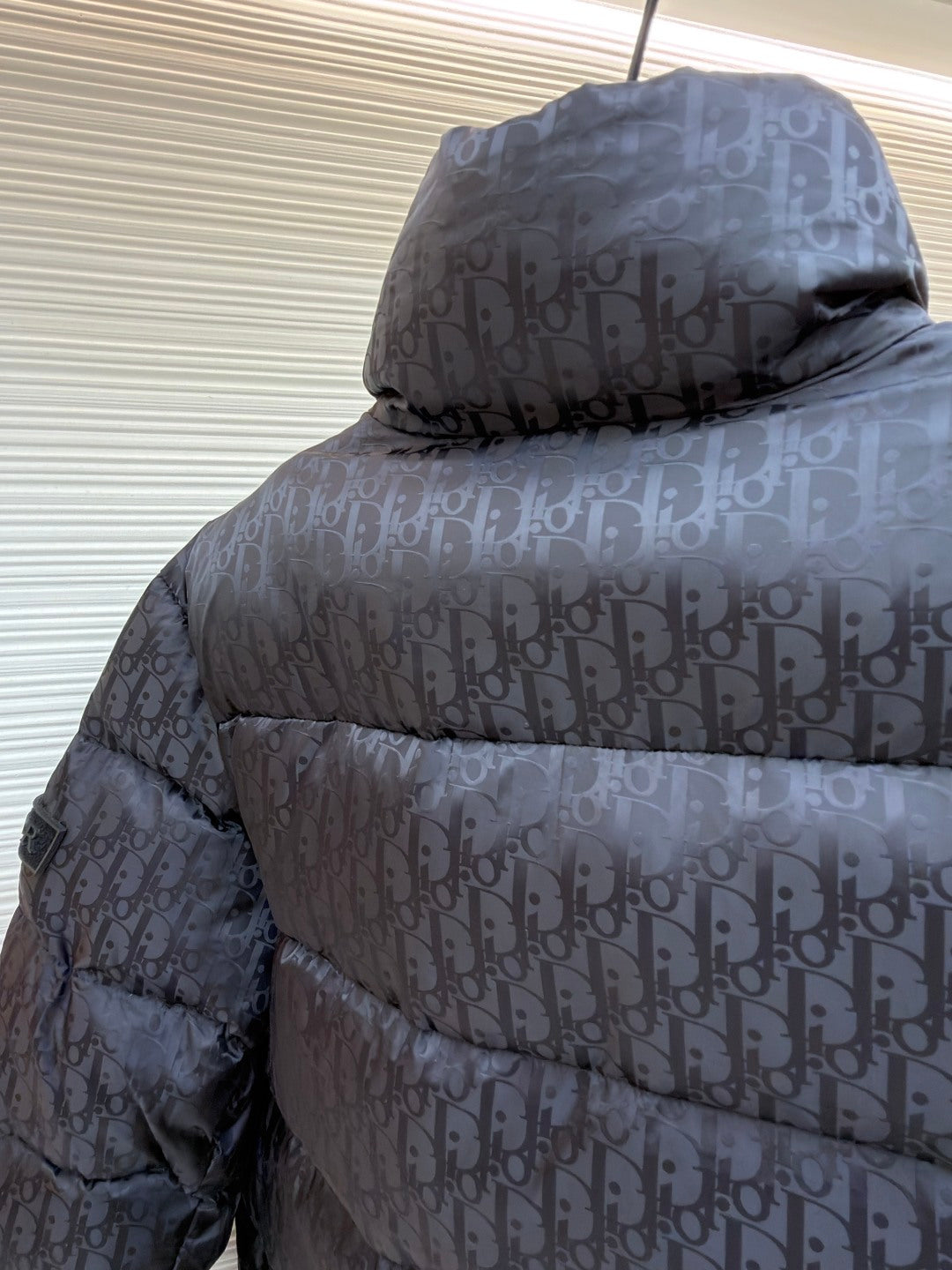 CD Logo Down Jacket