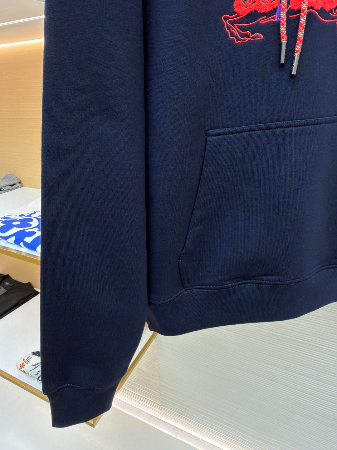 Embroidered Hoodie