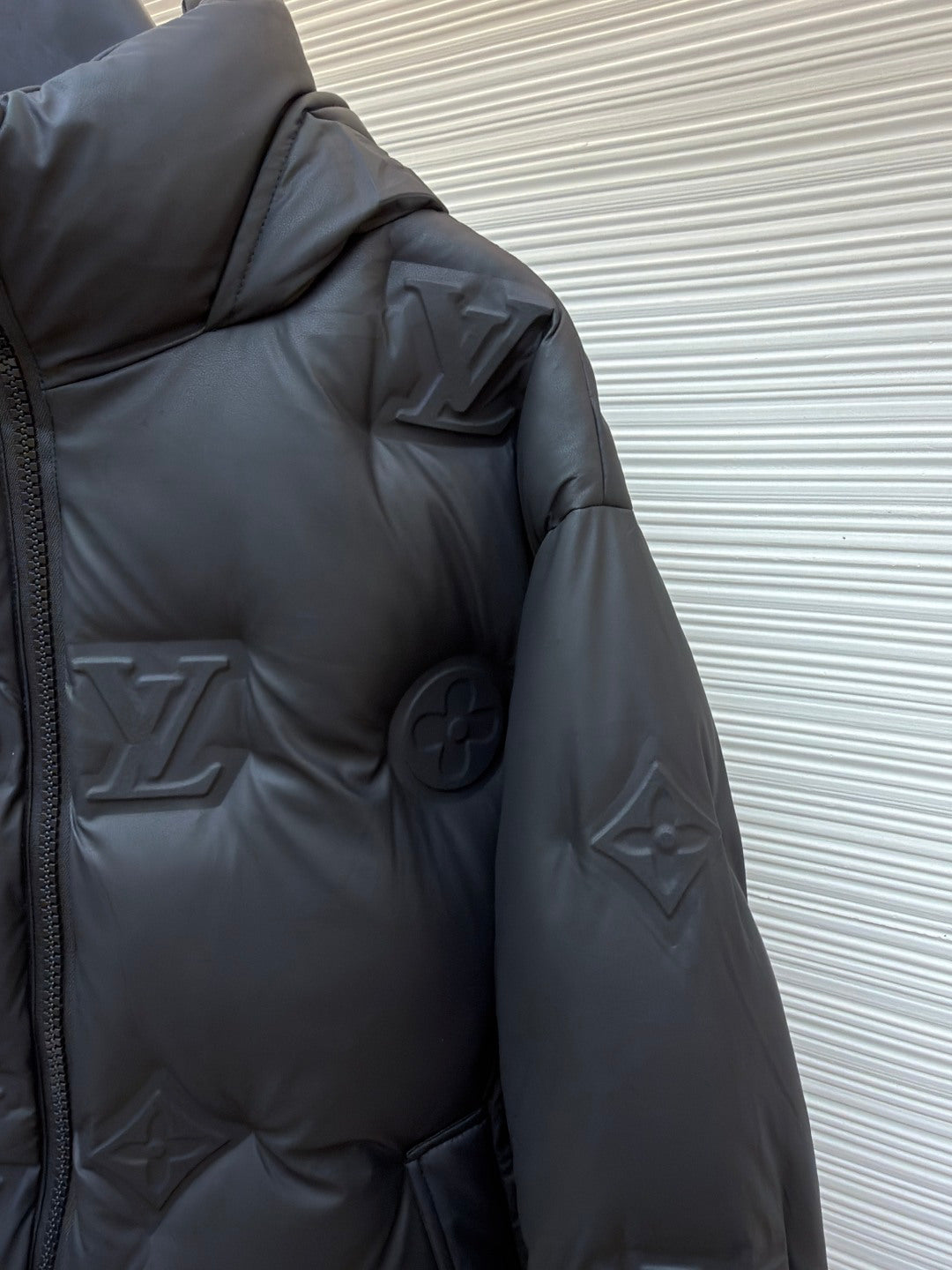 Graphic Down Jacket