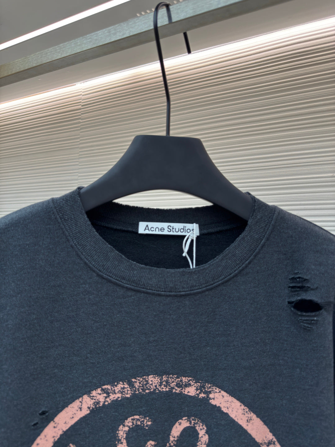 Crewneck Sweatshirt