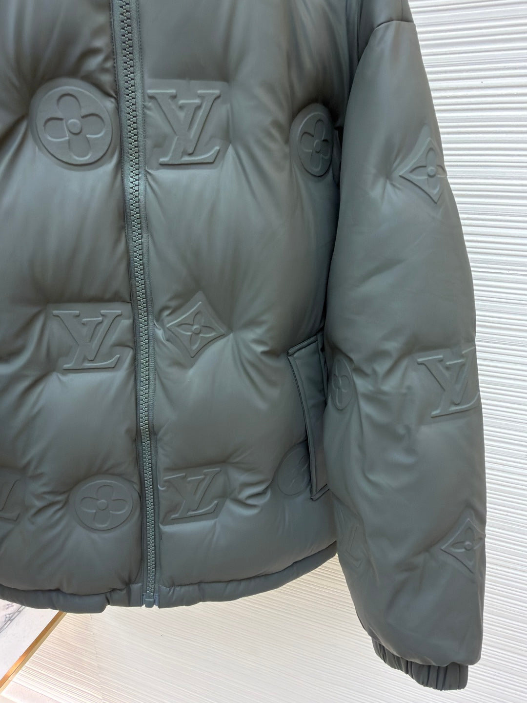 Graphic Down Jacket