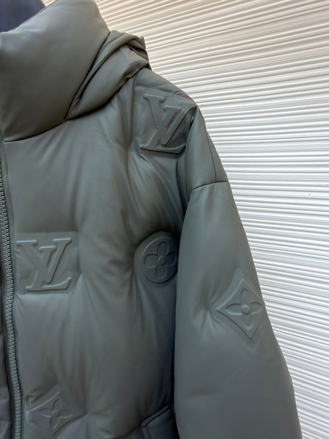 Graphic Down Jacket