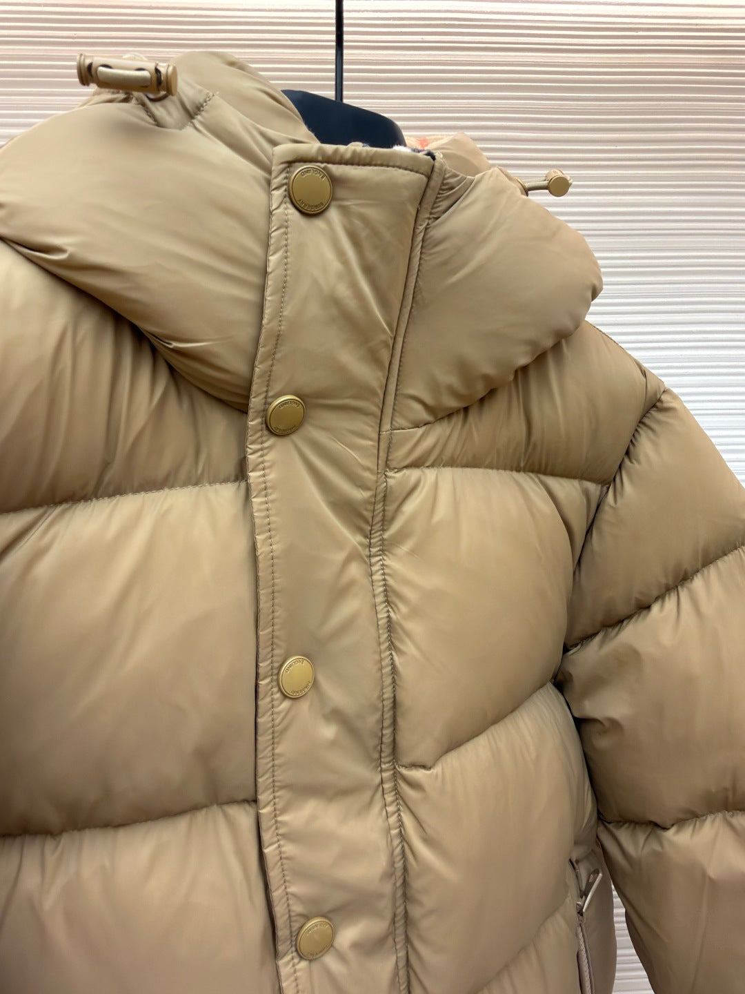 Hooded Down Jacket