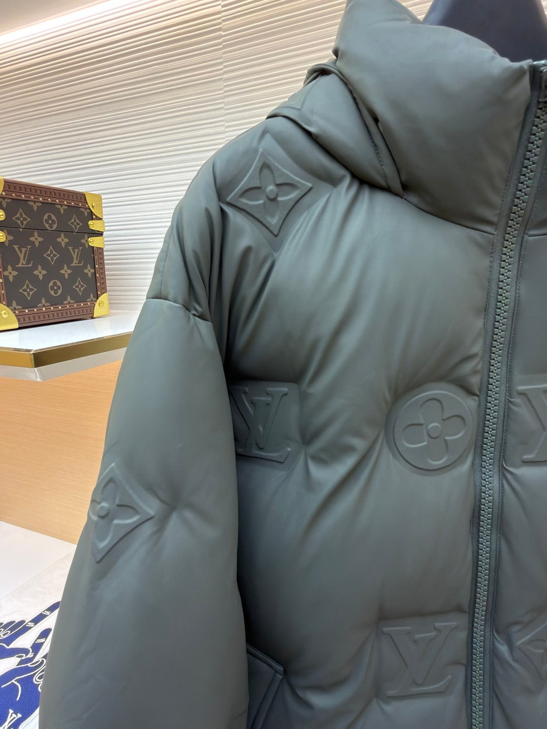 Graphic Down Jacket