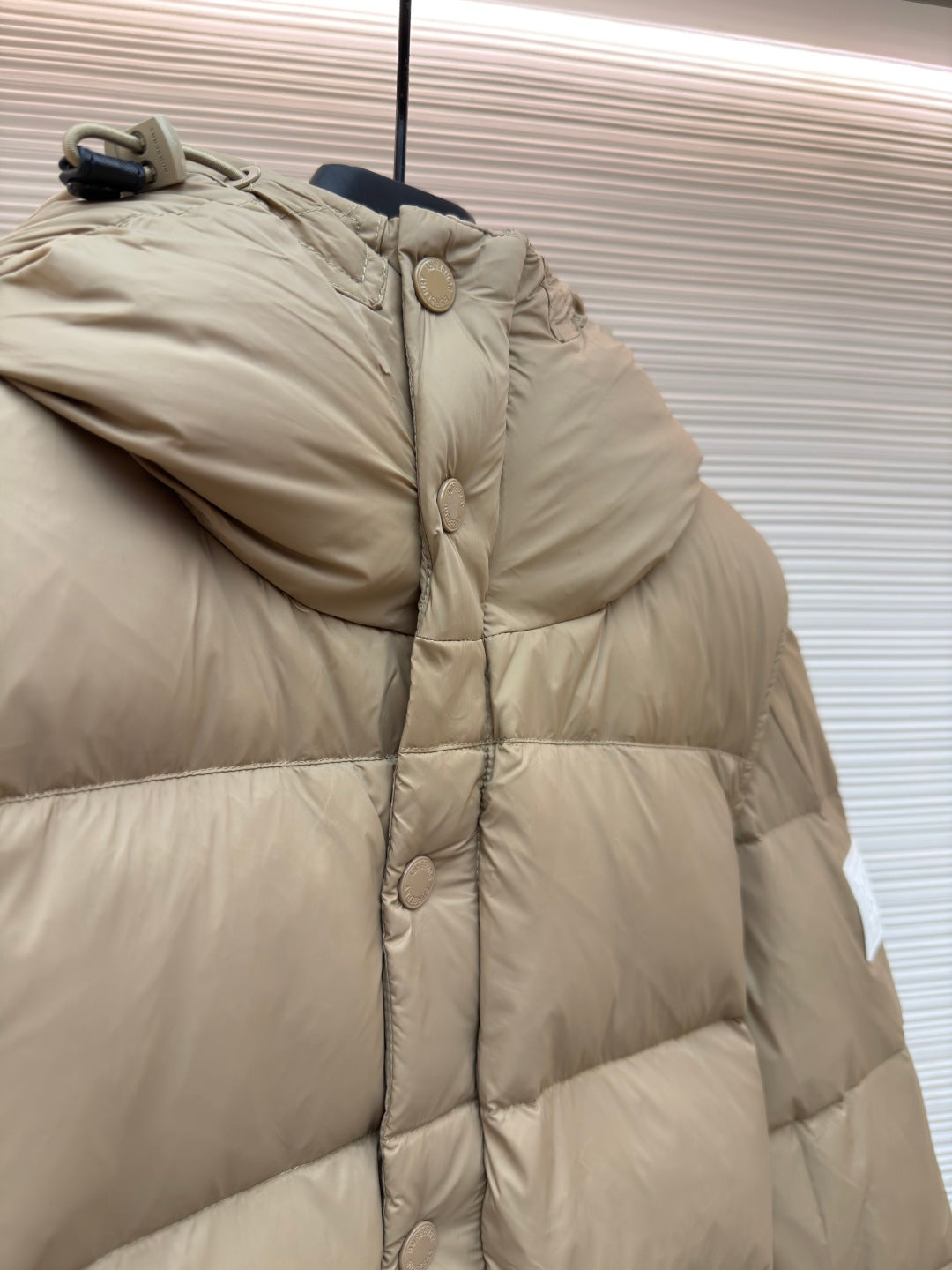 Hooded Down Jacket