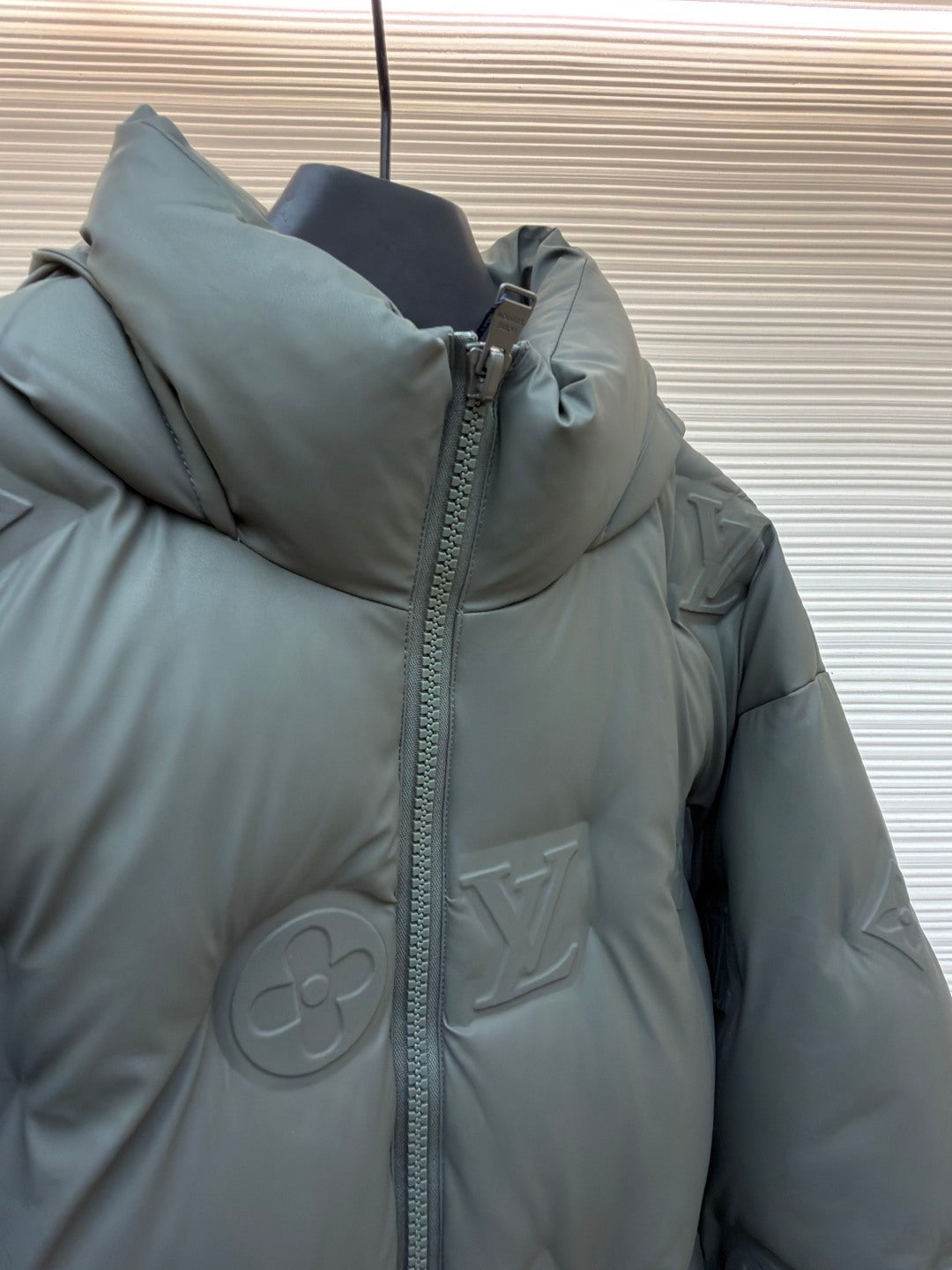 Graphic Down Jacket