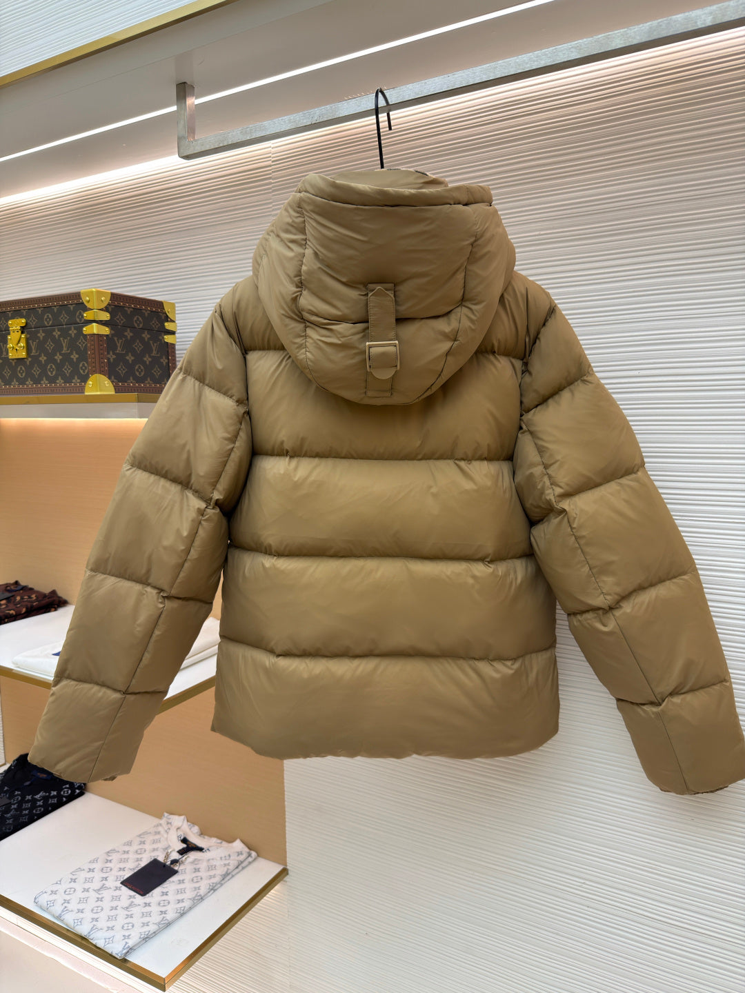 Hooded Down Jacket