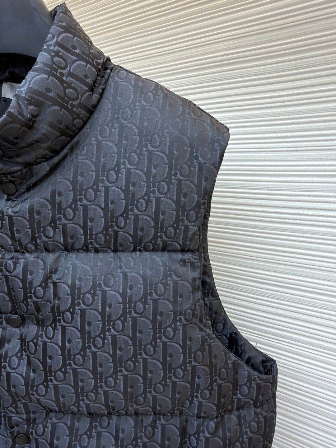 Graphic Down Gilet