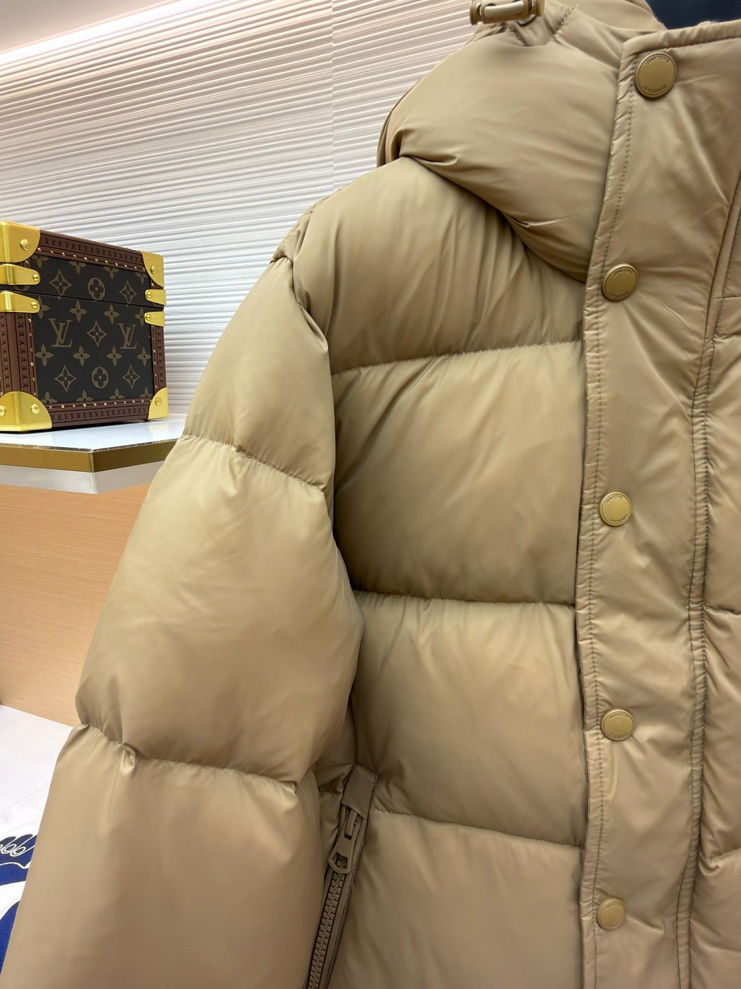 Hooded Down Jacket
