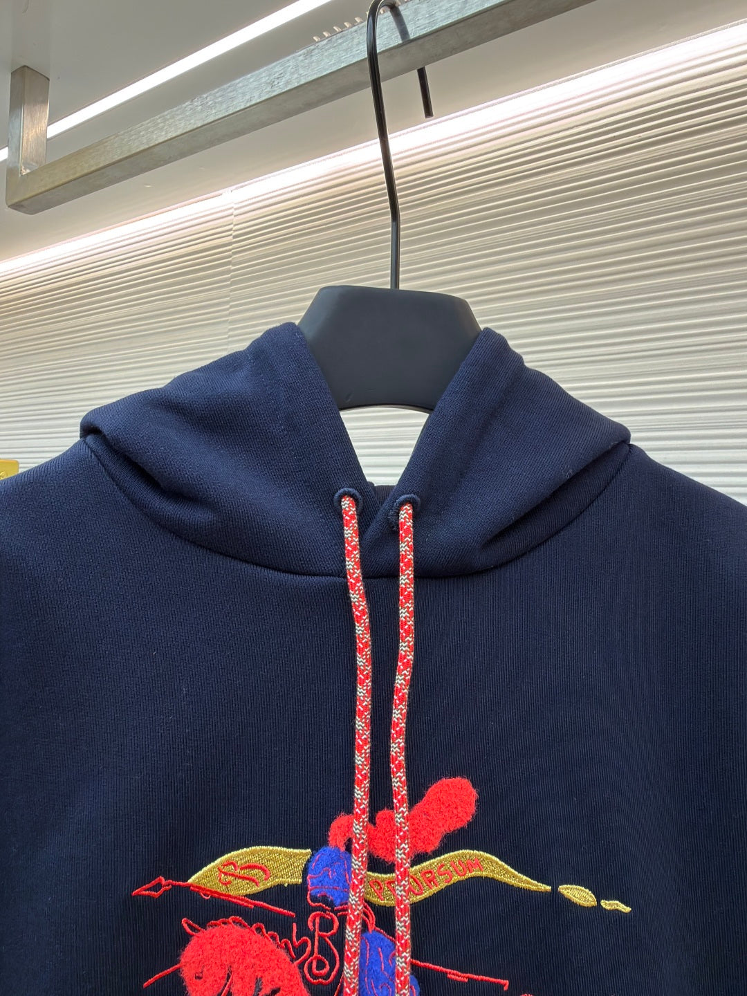 Embroidered Hoodie