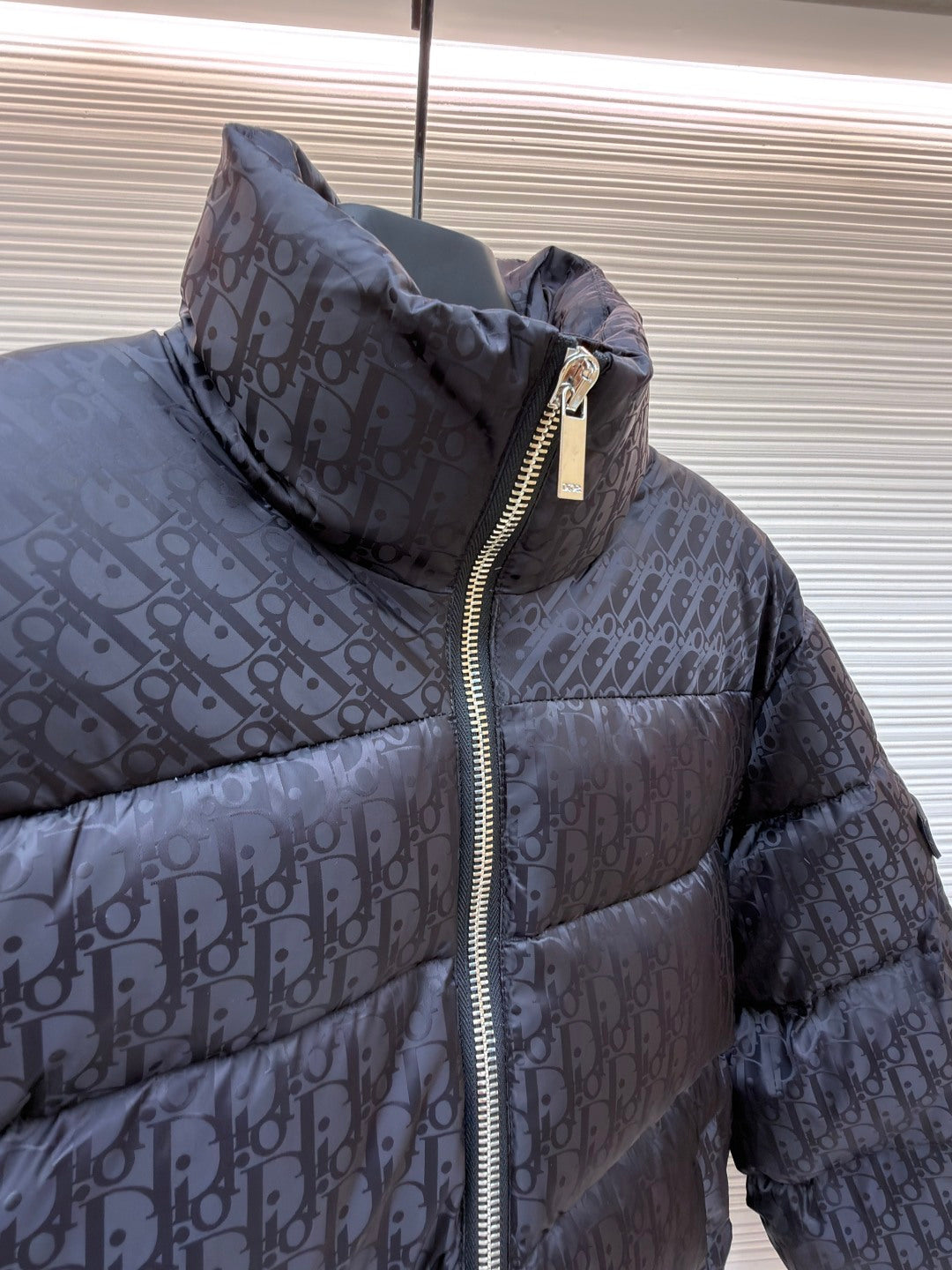 CD Logo Down Jacket
