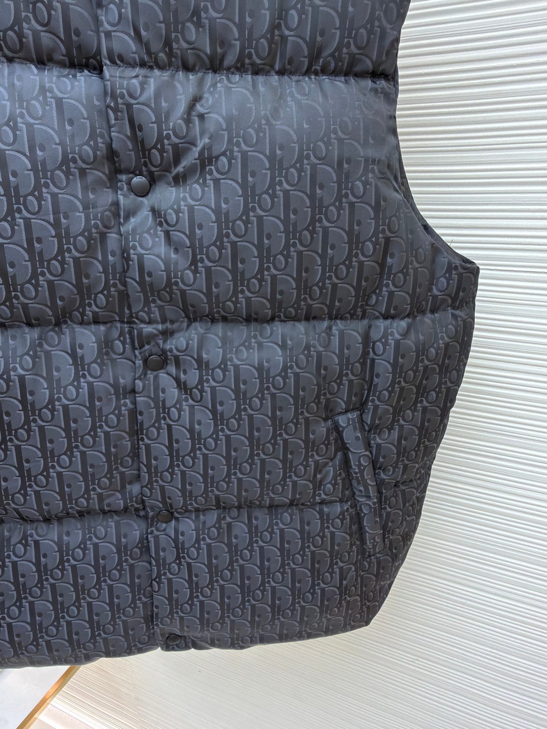 Graphic Down Gilet