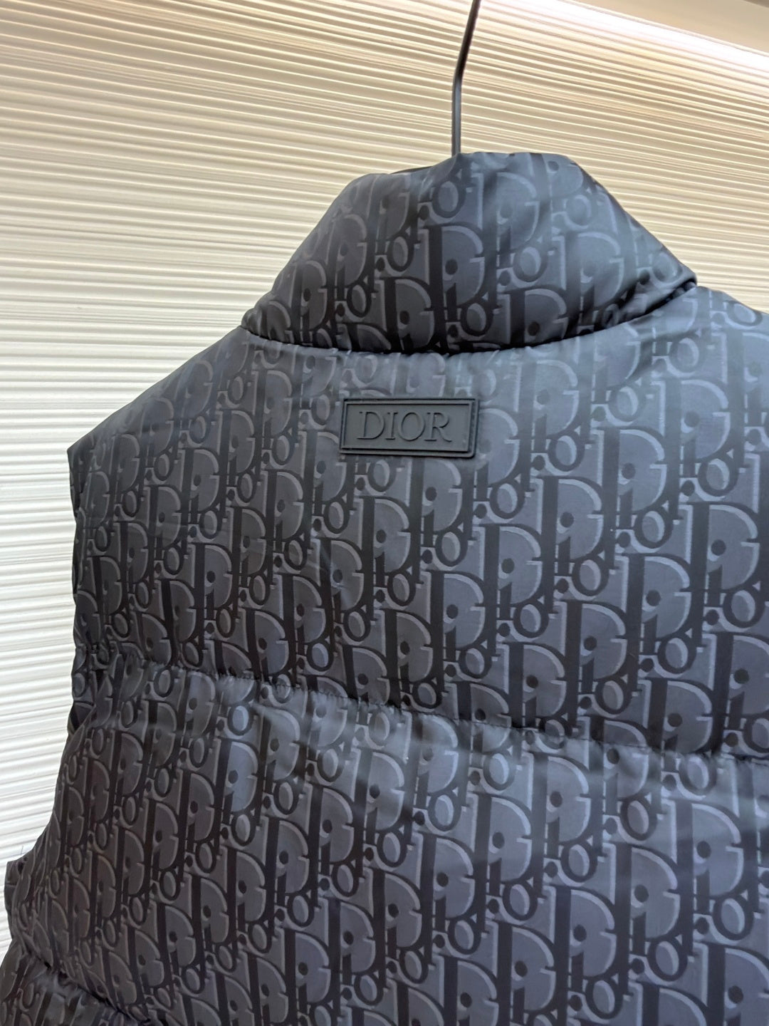 Graphic Down Gilet